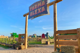 Atrakcja Park rozrywki Farma Alexa 